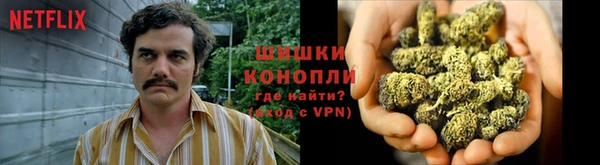 прущие грибы Алексин