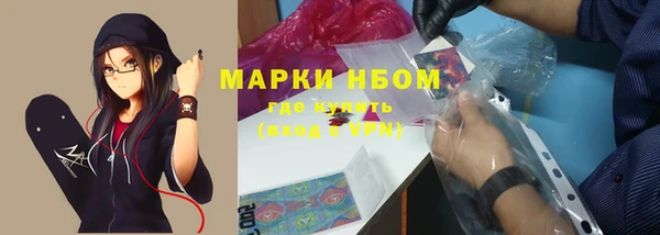 прущие грибы Алексин