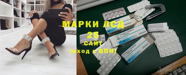 прущие грибы Алексин