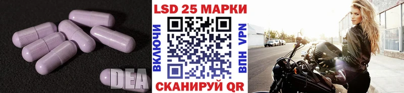 Лсд 25 экстази кислота  Кирсанов 