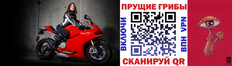 OMG   Кирсанов  Галлюциногенные грибы ЛСД 